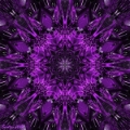 Amethyst 1